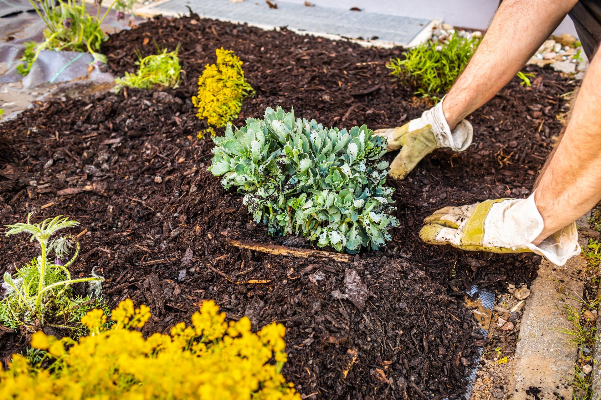 Installing weed control fabric material and bark mulch in a residential garden to control weed spreading